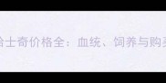 不纯哈士奇价格全血统饲养与购买指南