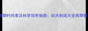 公狗发情期时间表及科学饲养指南幼犬到成犬全周期管理攻略