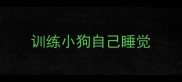 训练小狗自己睡觉