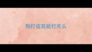 狗打疫苗能打死么