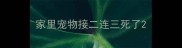 家里宠物接二连三死了