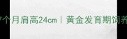 贵宾犬7个月肩高24cm黄金发育期饲养全攻略