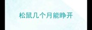 松鼠几个月能睁开