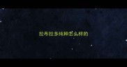 拉布拉多纯种怎么样的