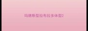 玛德斯型拉布拉多体型