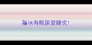 猫咪有眼屎爱睡觉