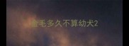 金毛多久不算幼犬