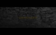 边牧和拉布拉多玩