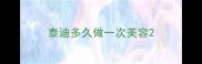 泰迪多久做一次美容