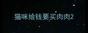 猫咪给钱要买肉肉