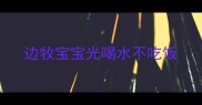 边牧宝宝光喝水不吃饭