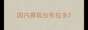 国内赛级拉布拉多