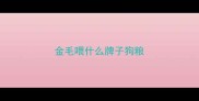 金毛喂什么牌子狗粮
