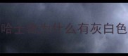 哈士奇为什么有灰白色