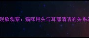 现象观察猫咪甩头与耳部清洁的关系