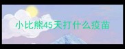 小比熊45天打什么疫苗