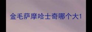 金毛萨摩哈士奇哪个大