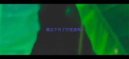 猫五个月了打疫苗吗