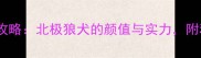 哈士奇养护全攻略北极狼犬的颜值与实力附科学饲养指南
