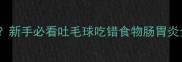 猫咪吐了怎么办新手必看吐毛球吃错食物肠胃炎全附急救指南