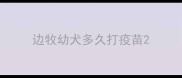 边牧幼犬多久打疫苗