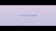 3个月泰迪吃哪种狗粮