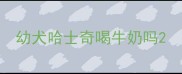 幼犬哈士奇喝牛奶吗