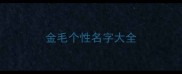 金毛个性名字大全