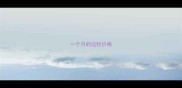 一个月的边牧价格