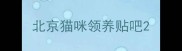 北京猫咪领养贴吧