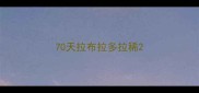 70天拉布拉多拉稀