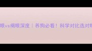 哈士奇蓝眼vs褐眼深度养狗必看科学对比选对眼睛颜色