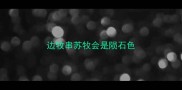 边牧串苏牧会是陨石色
