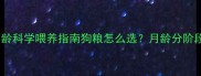 幼犬0-6月龄科学喂养指南狗粮怎么选月龄分阶段营养攻略