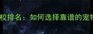 宠物美容师培训学校排名如何选择靠谱的宠物美容培训课程
