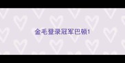 金毛登录冠军巴顿