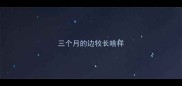 三个月的边牧长啥样