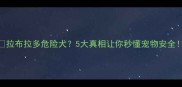拉布拉多危险犬5大真相让你秒懂宠物安全