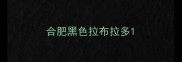 合肥黑色拉布拉多