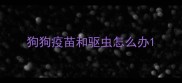 狗狗疫苗和驱虫怎么办