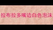 拉布拉多嘴边白色泡沫