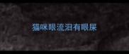 猫咪眼流泪有眼屎