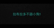 拉布拉多不舔小狗