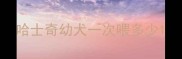哈士奇幼犬一次喂多少