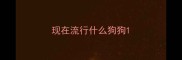 现在流行什么狗狗