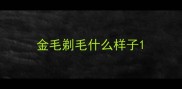 金毛剃毛什么样子
