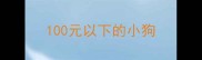 100元以下的小狗