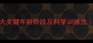 边牧训练黄金期3大关键年龄阶段及科学训练法新手必看养宠攻略