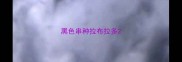黑色串种拉布拉多