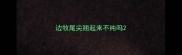 边牧尾尖翘起来不纯吗